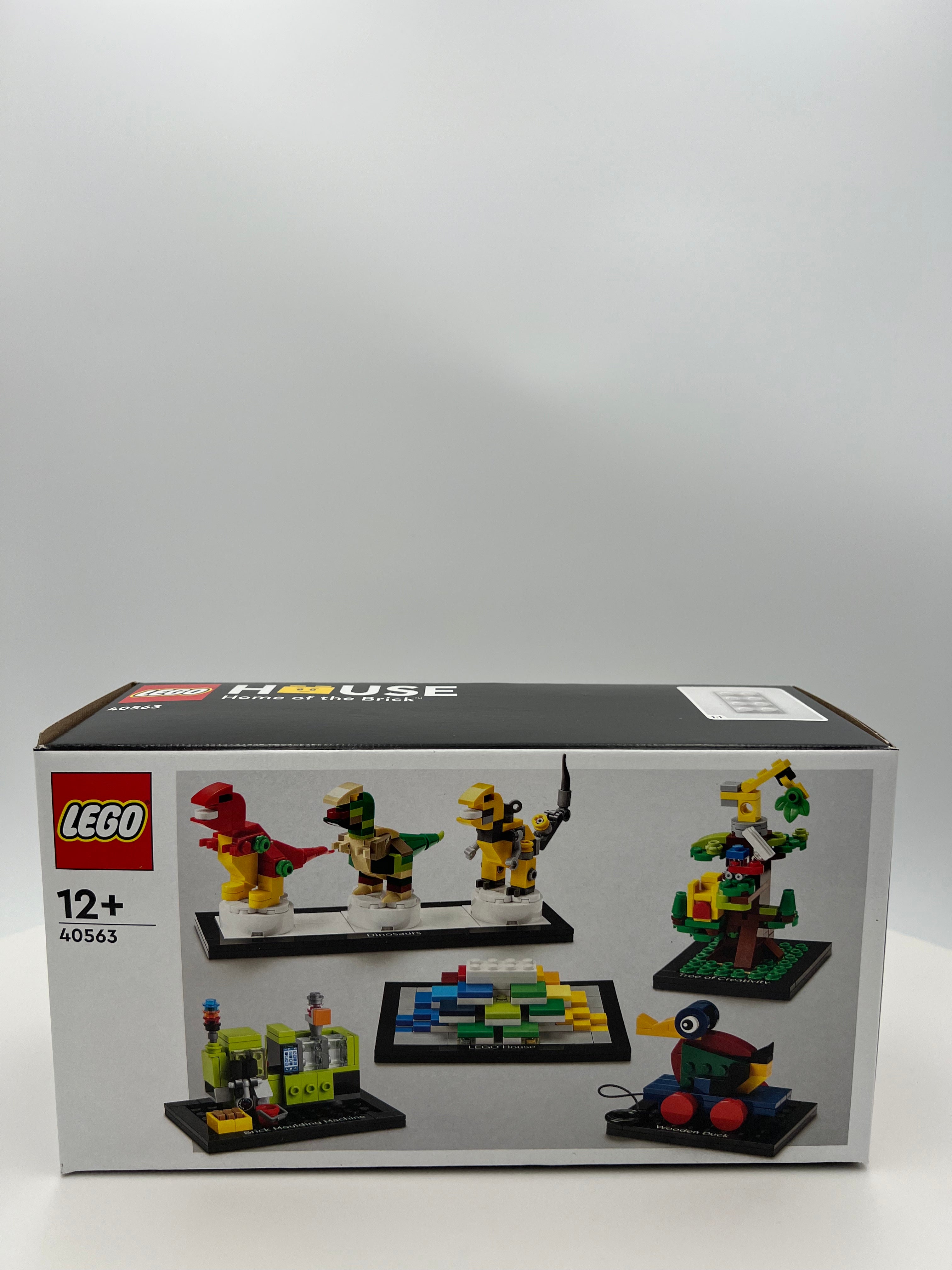 LEGO House 40563